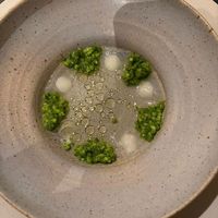  at De Nieuwe Winkel in Nijmegen