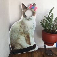  at Catfetín in Cusco