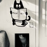   at Catfetín in Cusco