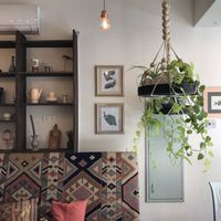 Interior is sunlit and balmy   at Home of Franziska in Budapest