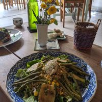 Vegan courgette, green bean and orzo salad with cashew cream cheese at Pilgrim in Kampot