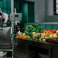 OUR IN STORE COLD PRESSED JUICING LAB at Base V Juicery - Via dei Neri in Florence