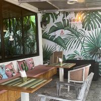   at Go Vegan Cafe in Phuket