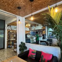   at Go Vegan Cafe in Phuket