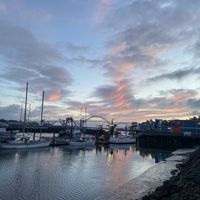 View from 2nd floor of restaurant at sunset    at Local Ocean Seafoods in Newport