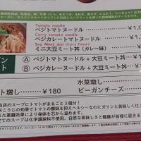 Vegan section on Japanese menu at Fuku Noki in Sapporo