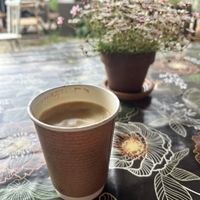 Oat latte  at The Wildflour Cafe in Brighton