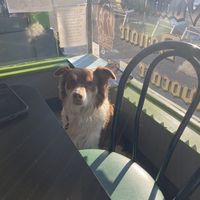   at VBurger in Long Beach