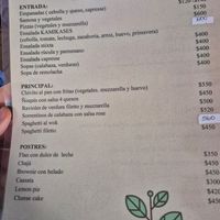 Vegetarian menu at Los Kamikazes in Colonia Del Sacramento