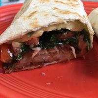 Vegans Wrap Too close up at Hartland Diner  in Hartland