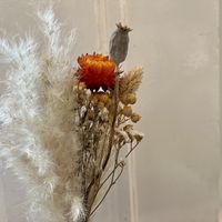 deco  at Plant Base in Berlin