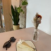   at Plant Base in Berlin