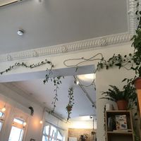   at Plant Base in Berlin