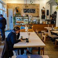 Inside of Plant Base at Plant Base in Berlin