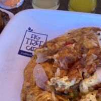  at Fig Tree Cafe - Liberty Station in San Diego