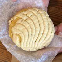 concha  at Vegos in Albuquerque