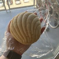 Concha at Vegos in Albuquerque
