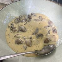   at Portovello in Ourense