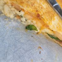 Toastie part 2 at Lure Living in Yeppoon