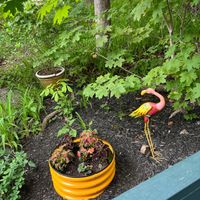Outdoor lawn ornaments at Treehouse Taqueria in Ogunquit