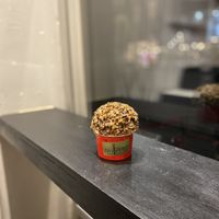 Chocolate peanut butter pretzel crunch is MAGIC  at Whipped Urban Dessert Lab in New York City