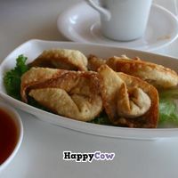 Crispy wontons at Loving Hut - North Park in San Diego