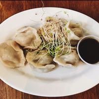 Dumplings at Peacefood Cafe - Uptown in New York City