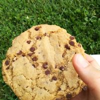 Chocolate Chip Cookie at Peacefood Cafe - Uptown in New York City