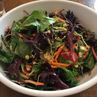 Sprouted lunch salad  at Peacefood Cafe - Uptown in New York City