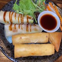 Vina mixed starter plate (did come with 2 samosas)  at Vina Vegan in Newtown