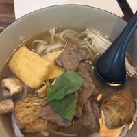   at Vina Vegan in Newtown