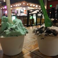 We all scream for vegan ice cream   at Bibo Coffee Company in Reno