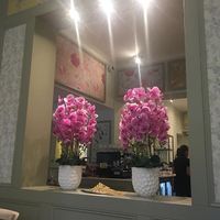 Flowers  at Giggling Squid - Chislehurst in Chislehurst