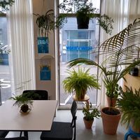 Yay, plants! at Slow Steady in Haman