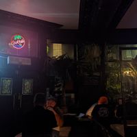 Lovely wee restaurant with lots of plants and welcoming vibes #Veganuary at The Lioness of Leith in Edinburgh