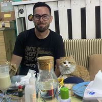 Lovely streetcat   at Bayt Sara in Amman