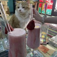   at Bayt Sara in Amman