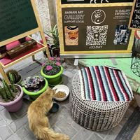   at Bayt Sara in Amman