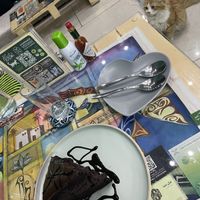 Chocolate cake and Girlfield 🐈  at Bayt Sara in Amman