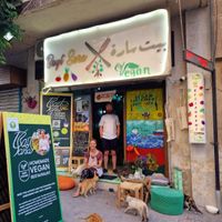 Lots of cats and lovely staff  at Bayt Sara in Amman