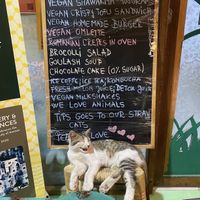   at Bayt Sara in Amman