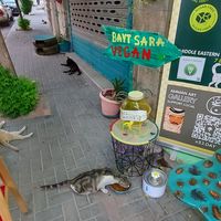  at Bayt Sara in Amman