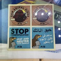   at Bayt Sara in Amman