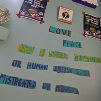  at Bayt Sara in Amman