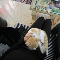   at Bayt Sara in Amman