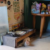  at Bayt Sara in Amman