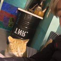 Vampiroza, the vampire cat! at Bayt Sara in Amman