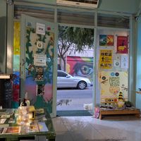 Friendly neighbourhood cats at Bayt Sara in Amman