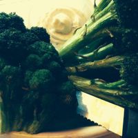 Deep fried broccoli at The Remedy Diner in Raleigh