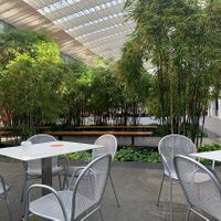 Beautiful dine-in space at the art museum atrium at Provenance Cafe in Cleveland